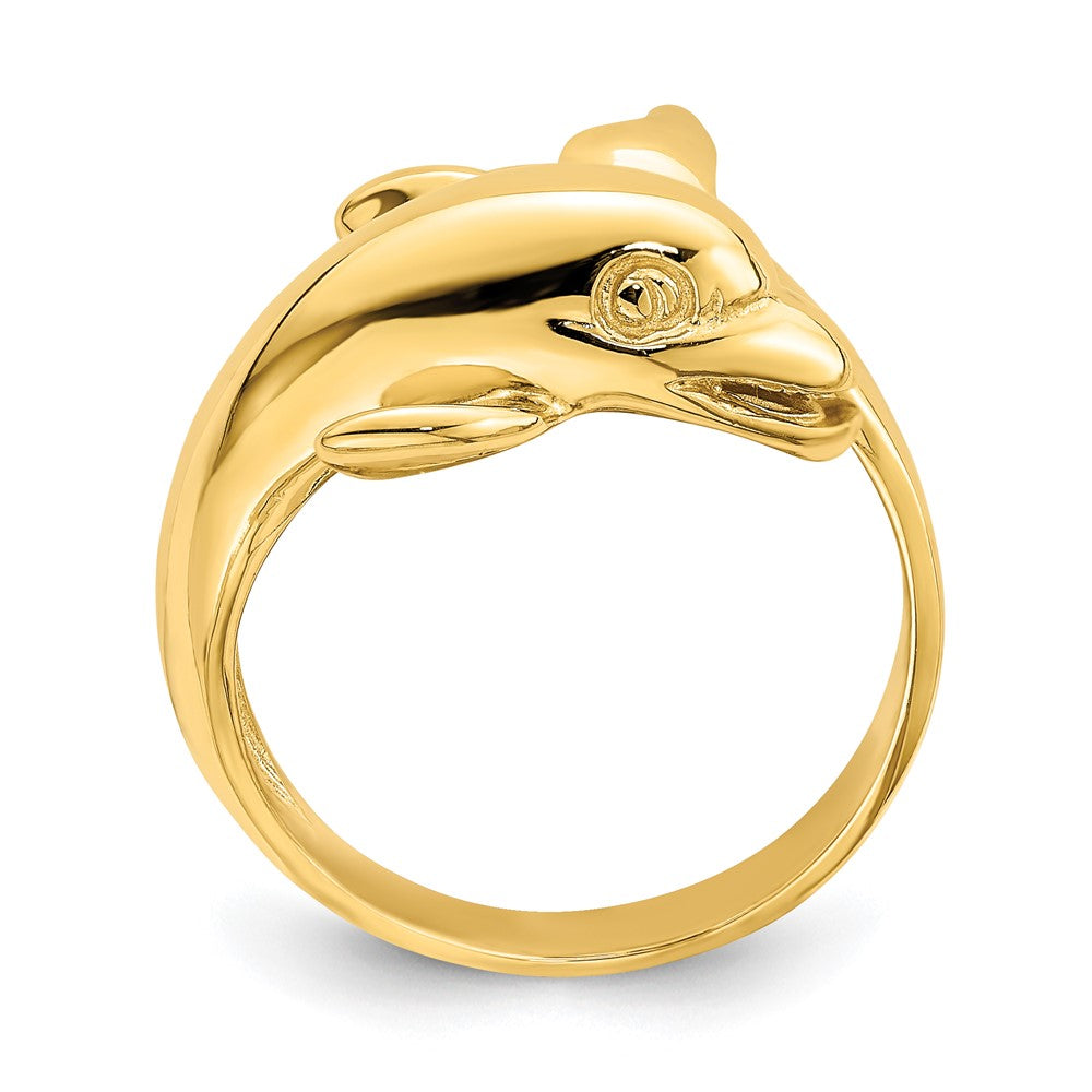 14K Gelbgold Delfinring poliert
