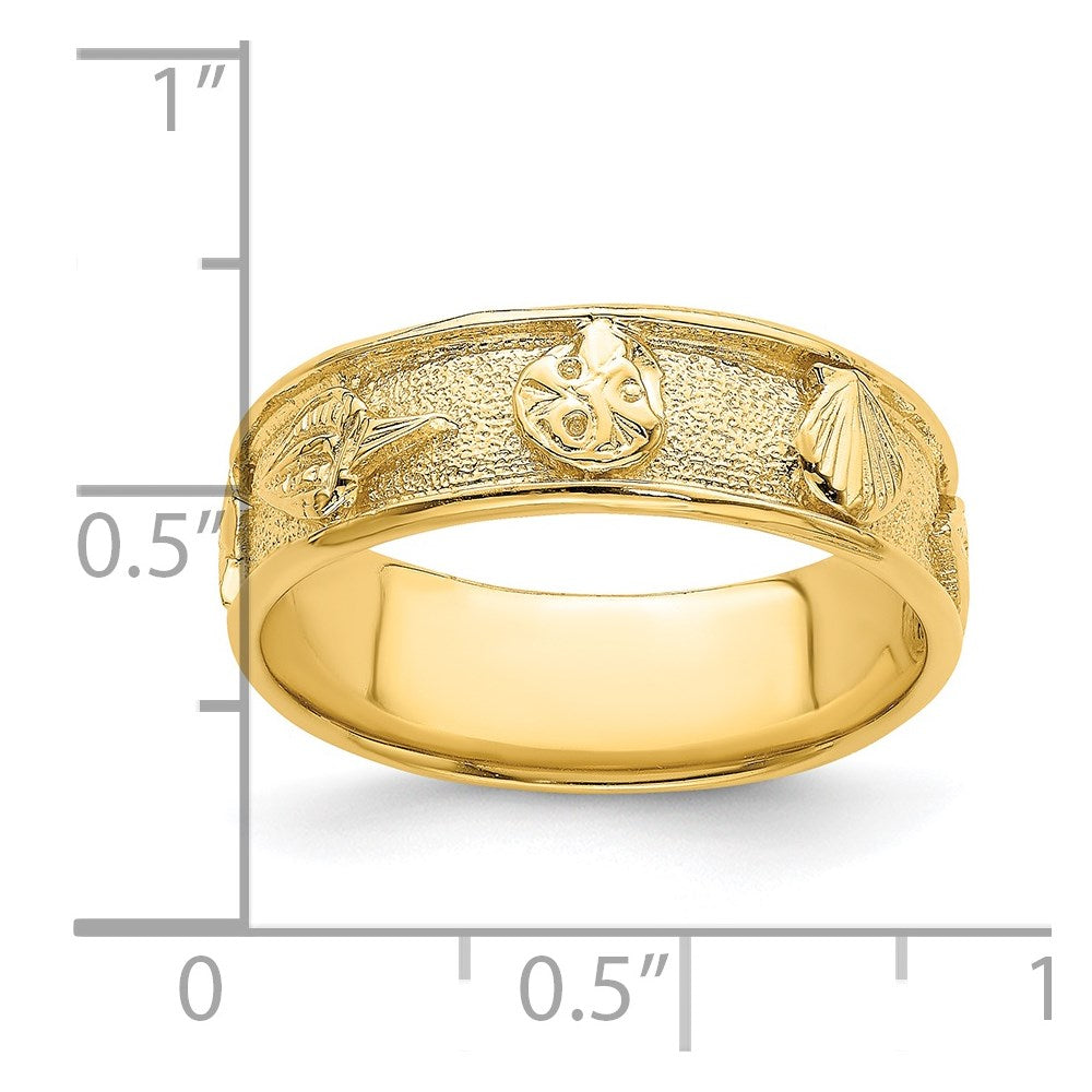 14K Gelbgold Poliert/Strukturiert Muschel Massiv Ring