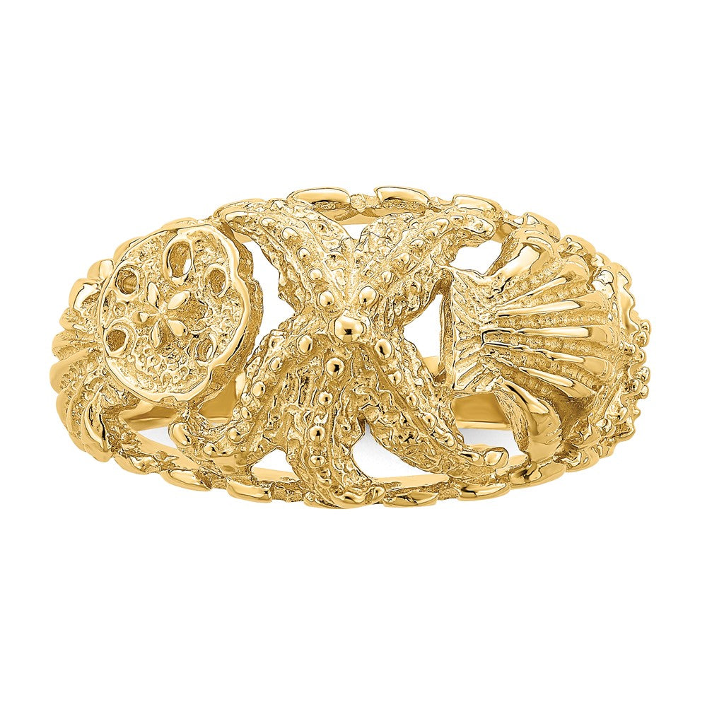 14K Gelbgold Seestern-Ring mit Muschel-Dome-Motiv (mehrfarbig)
