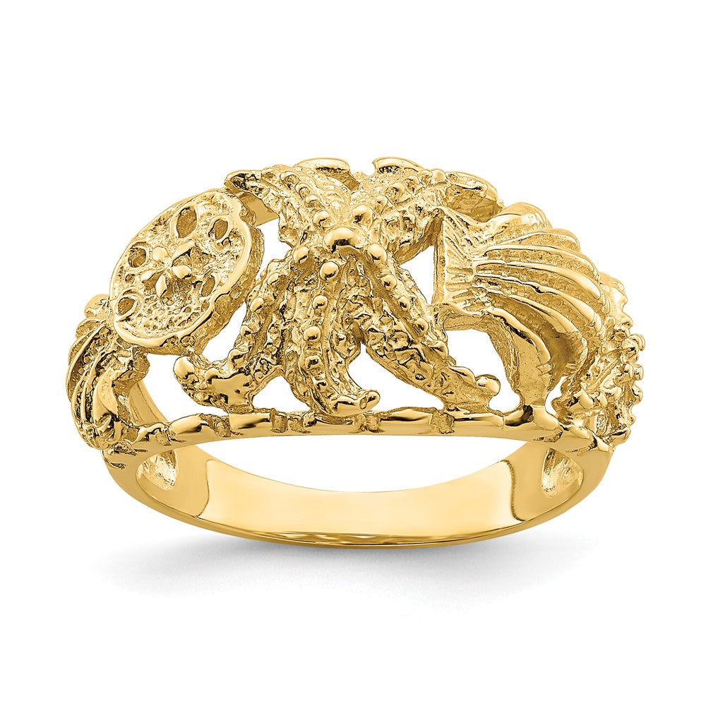 14K Gelbgold Seestern-Ring mit Muschel-Dome-Motiv (mehrfarbig)