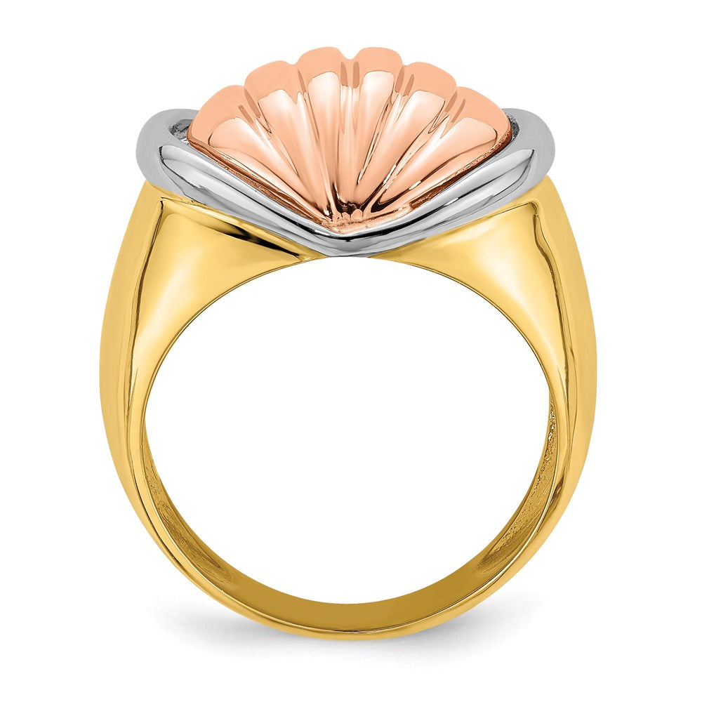 14K Tricolor Gold Ring mit Ovalem Garnelen-Fächer-Design