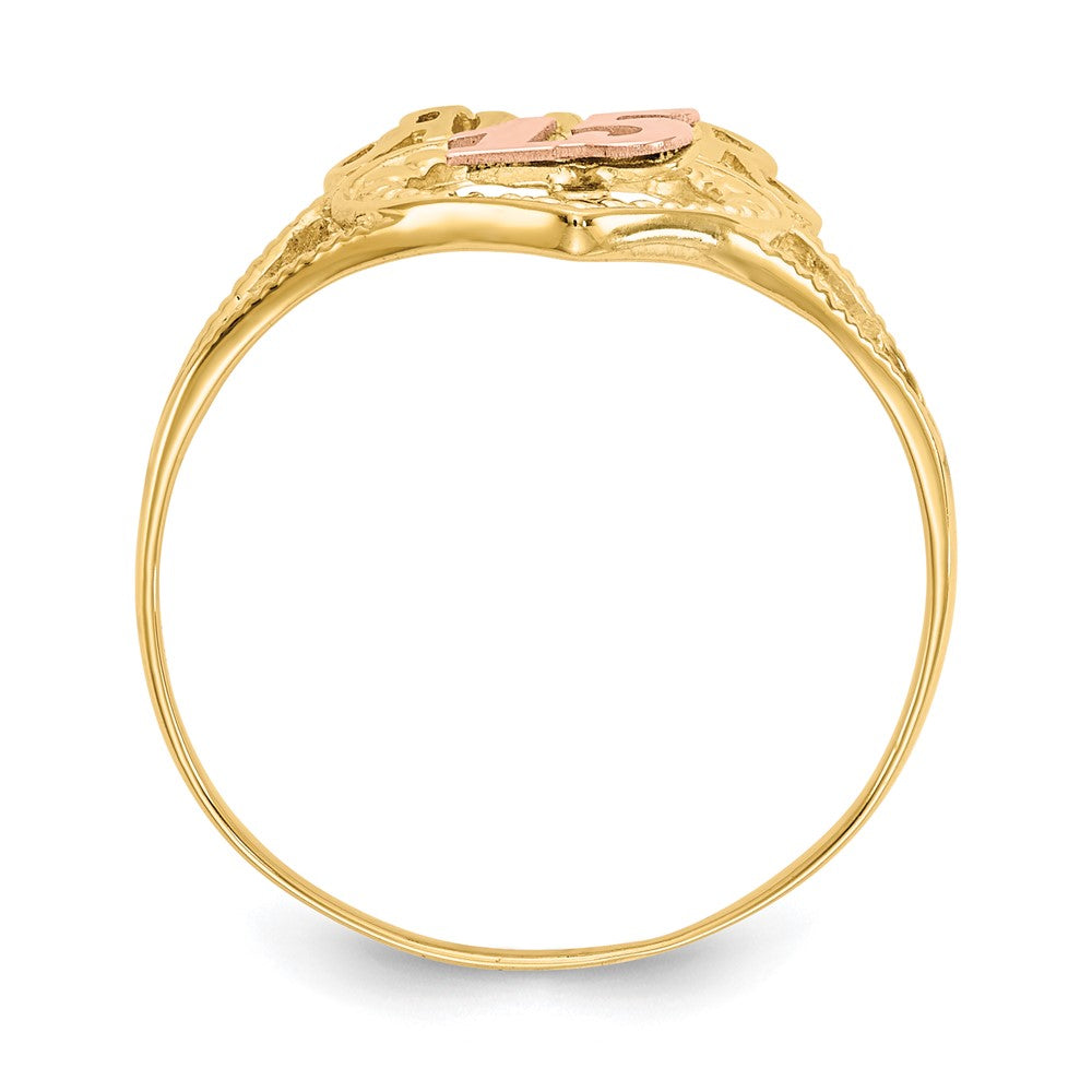 14K Bicolor-Gold Amor 15-Herzen-Ring