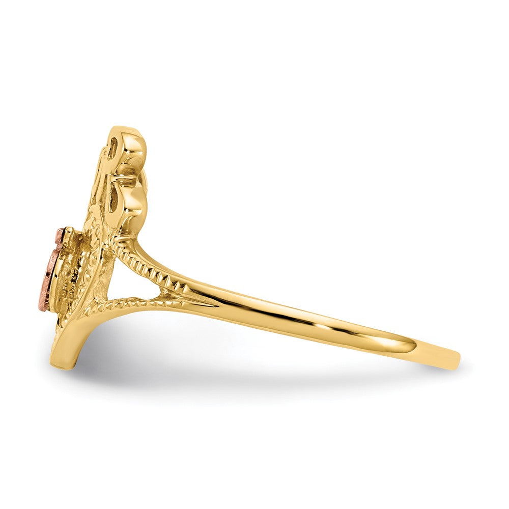 14K Bicolor-Gold Amor 15-Herzen-Ring