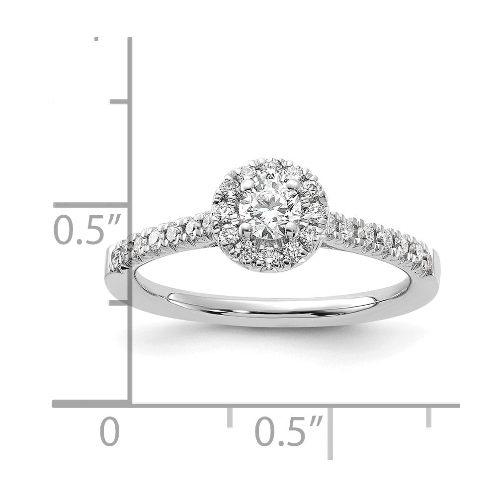 14K Weißgold 0,5 ct. Labor-gewachsener Diamant VS/SI+ G+ Rund Komplett-Halo Verlobungsring