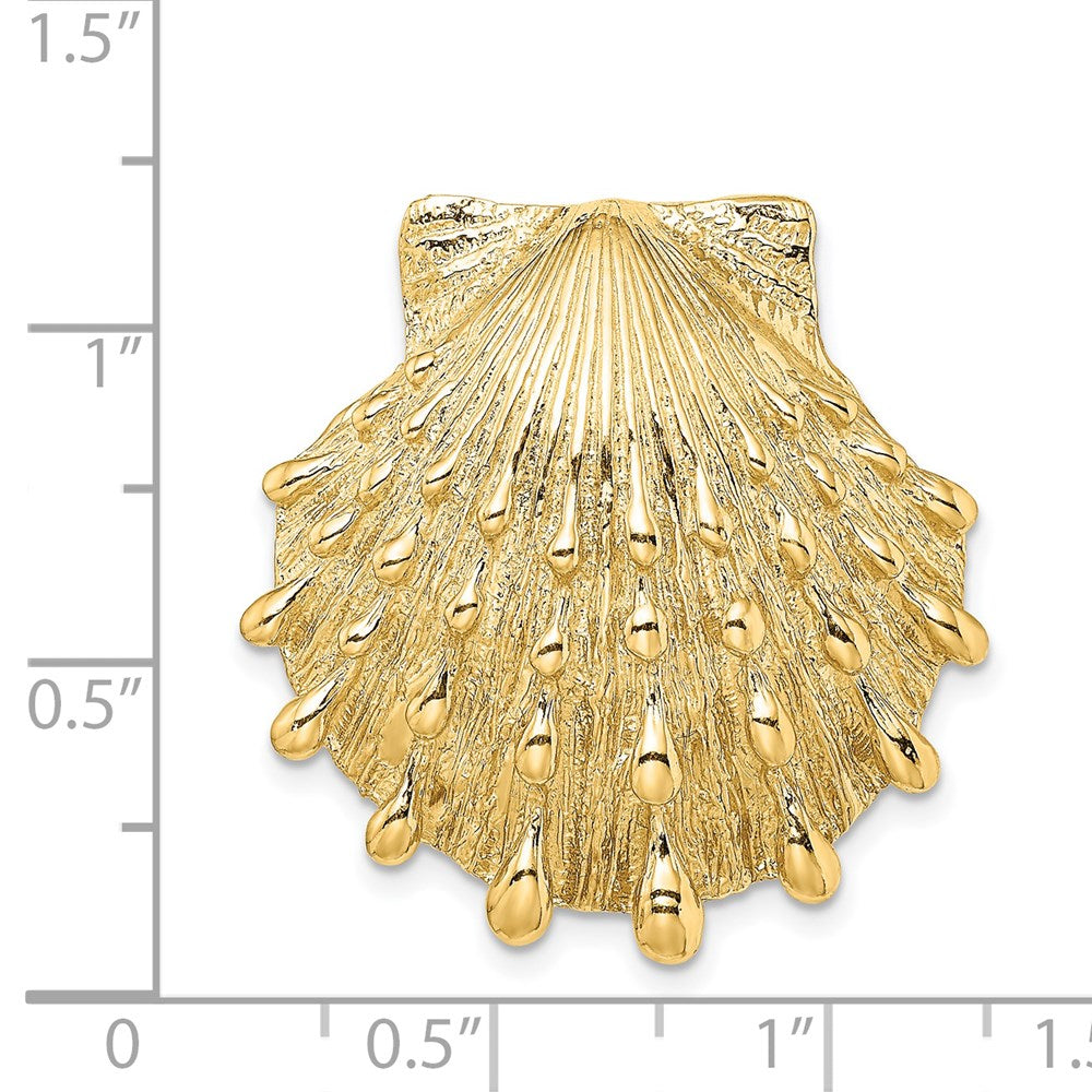 14K Gelbgold Löwe Paw Muschel Anhänger