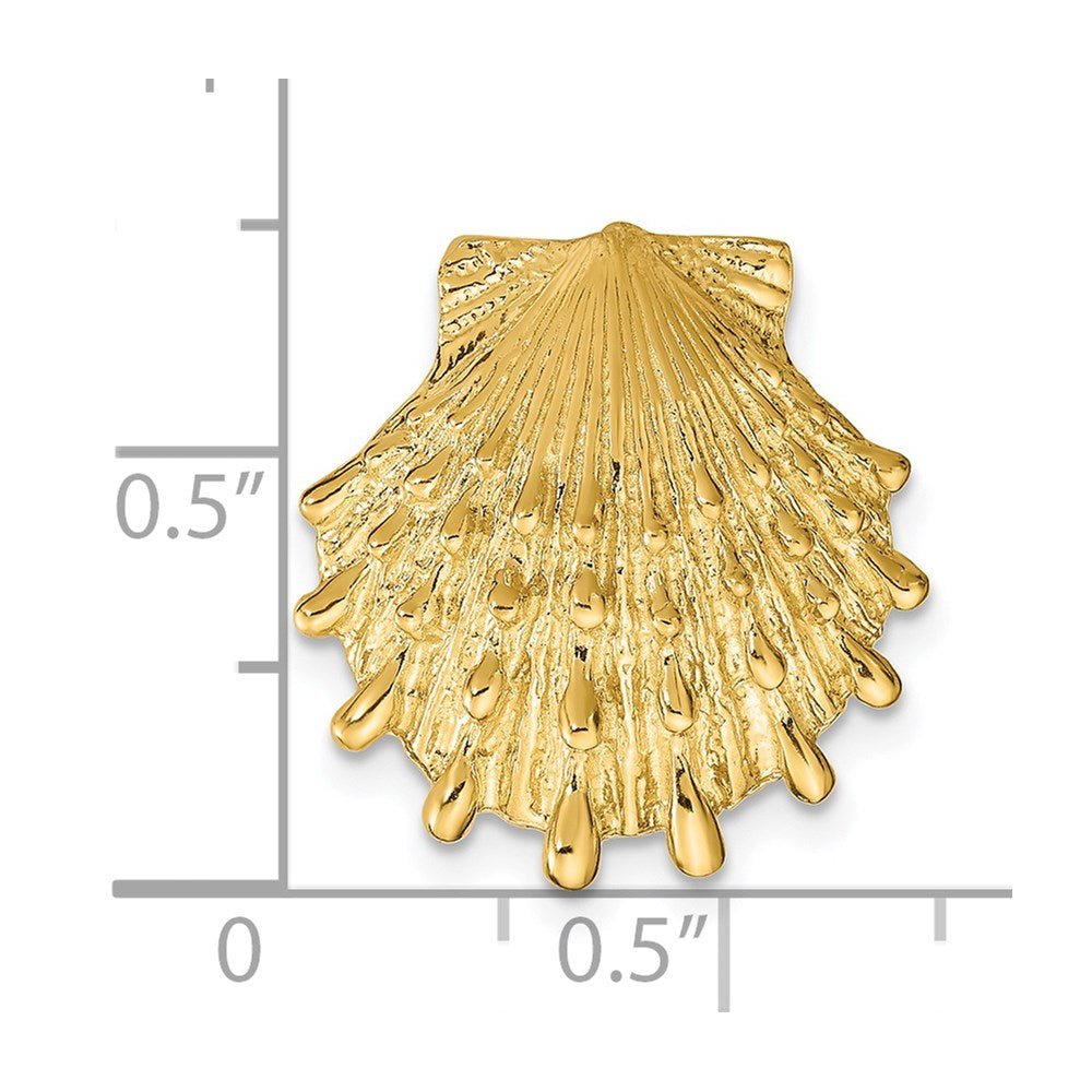 14K Gelbgold Löwe Paw Muschel Anhänger
