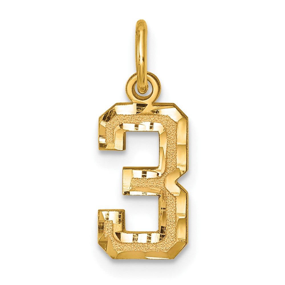 14K Gelbgold Klein Gebürstet Diamantiert Zahl 3 Charm