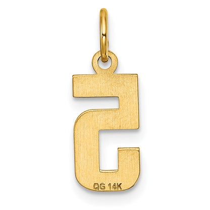 14K Gelbgold Klein Gebürstet Diamantiert Zahl 5 Charm