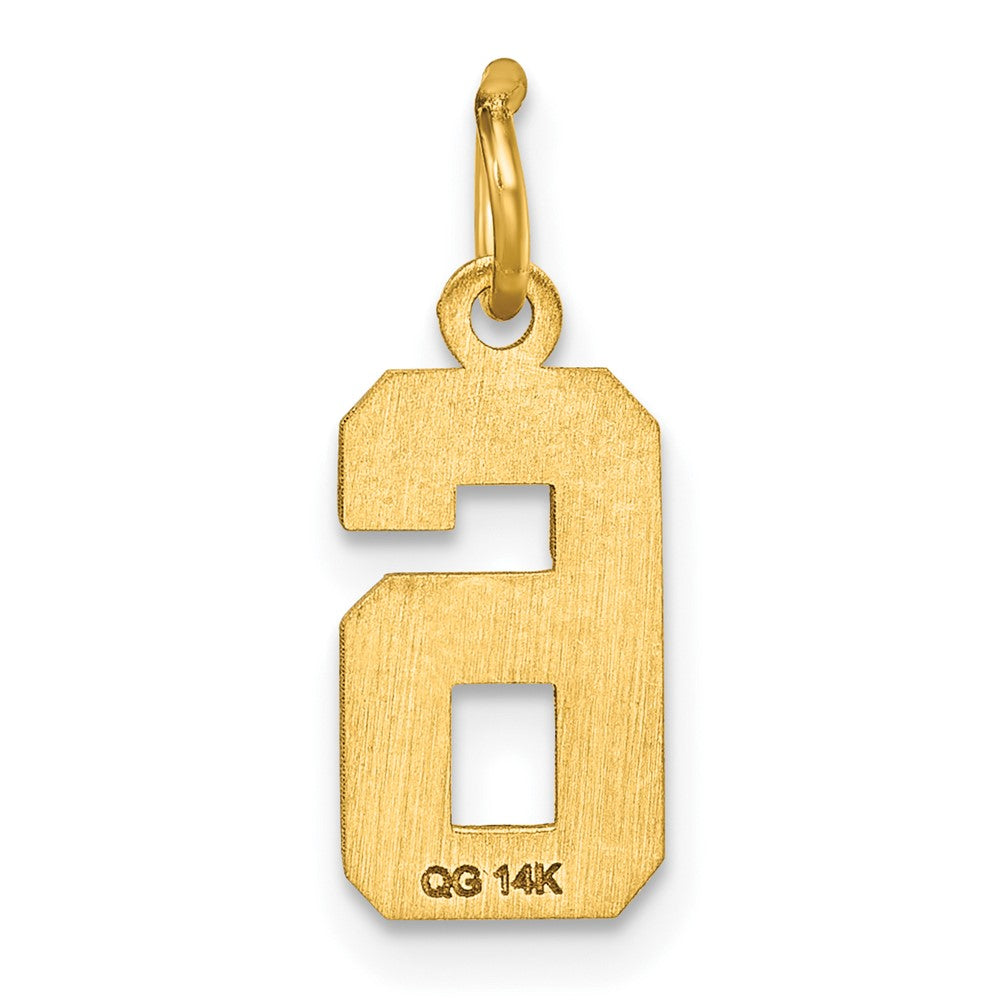 14K Gelbgold Klein Gebürstet Diamantiert Zahl 6 Charm