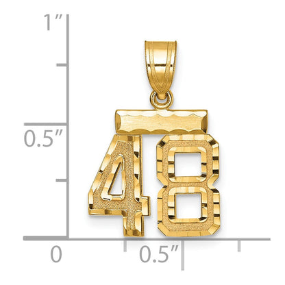 14K Gelbgold Kleiner Gebürsteter Diamantgeschliffener Charm Zahl 48