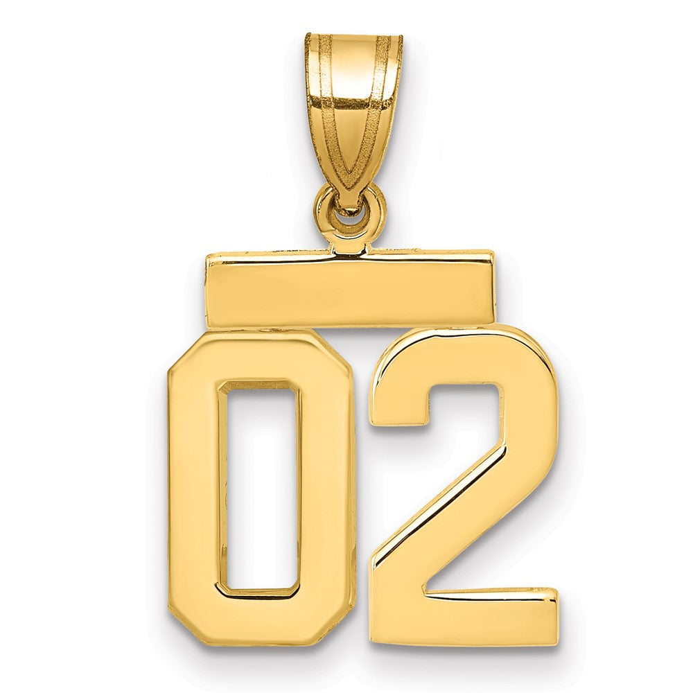 10K Gelbgold Klein Poliert Zahl 02 Charm
