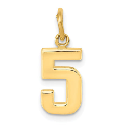 14K Gelbgold Klein Poliert Zahl 5 Charm