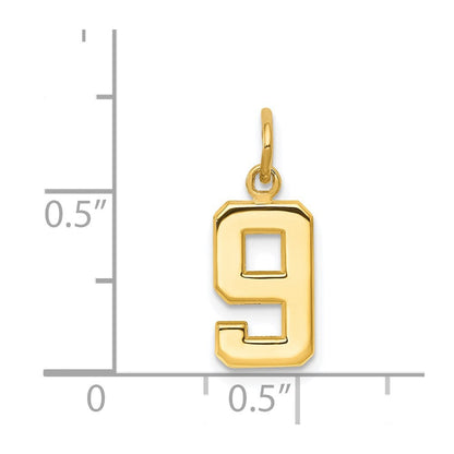 14K Gelbgold Klein Poliert Zahl 9 Charm