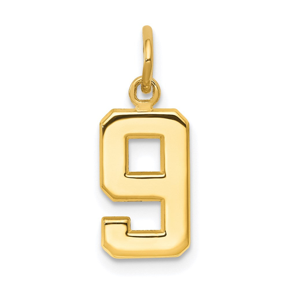 14K Gelbgold Klein Poliert Zahl 9 Charm