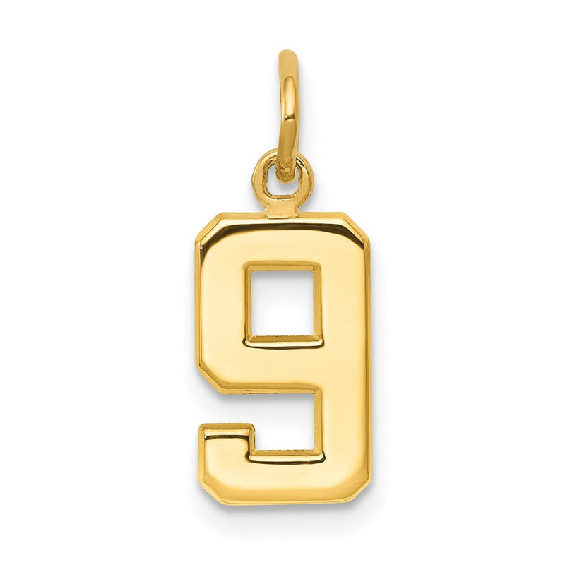 14K Gelbgold Klein Poliert Zahl 9 Charm