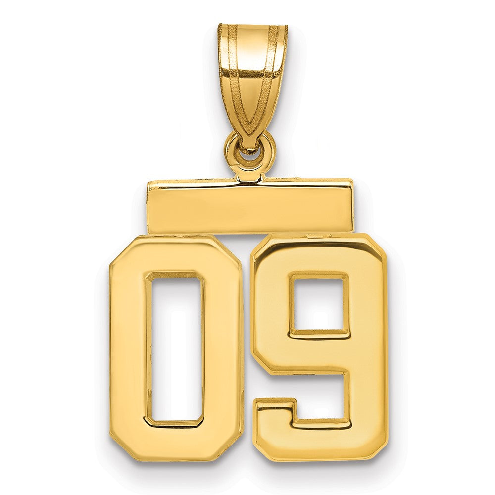 14K Gelbgold Kleiner Polierter Charm mit Zahl 09 obenauf