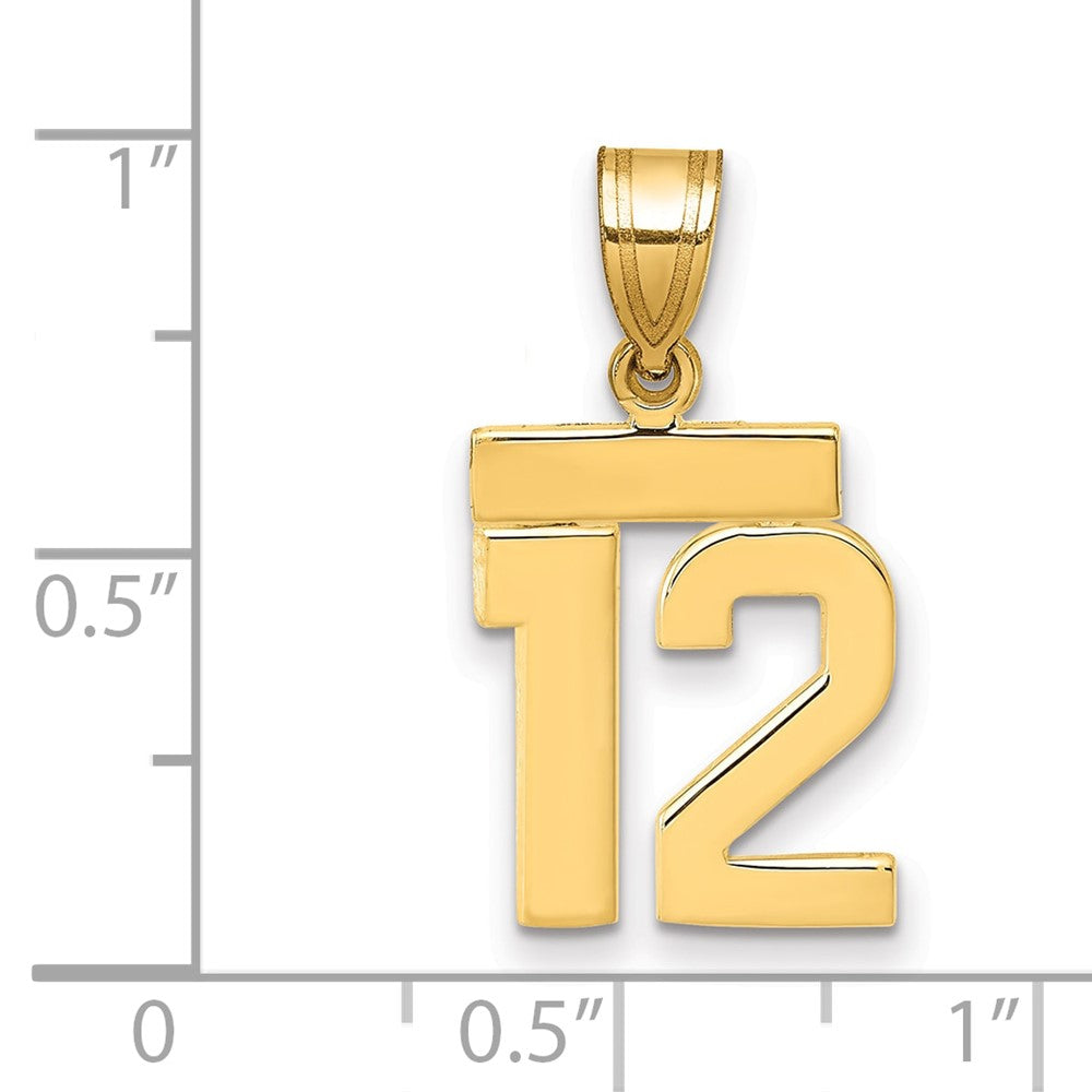 14K Gelbgold Kleiner Polierter Zahl-12-Charm