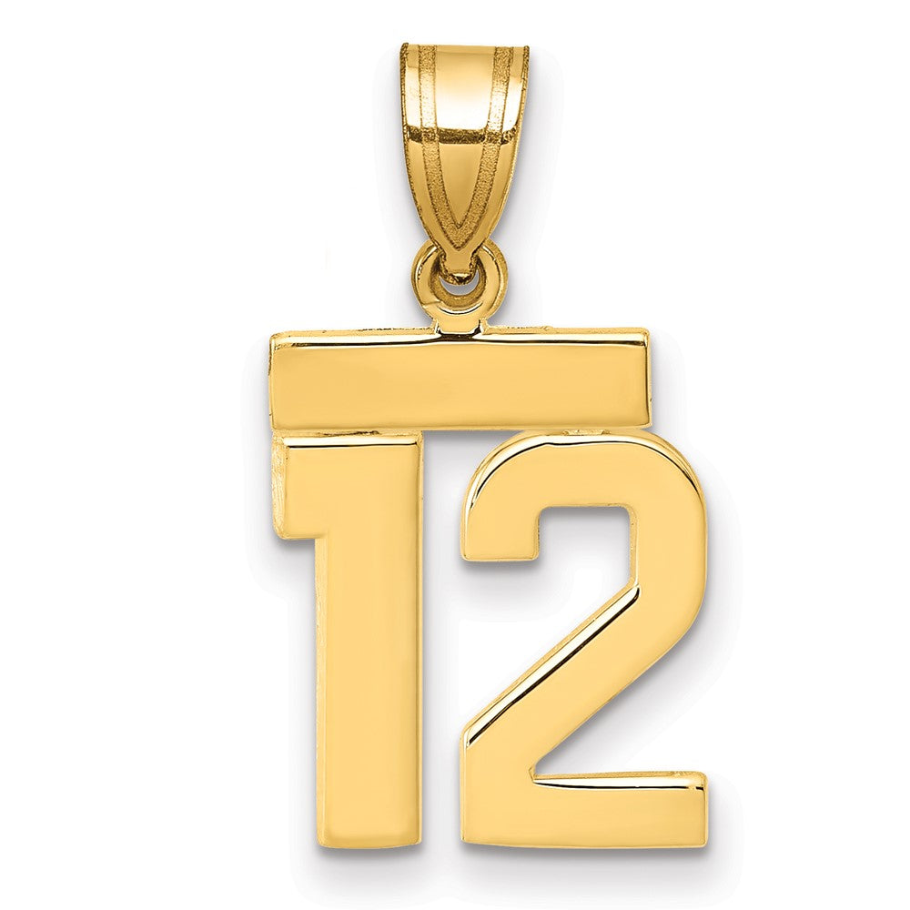 14K Gelbgold Kleiner Polierter Zahl-12-Charm