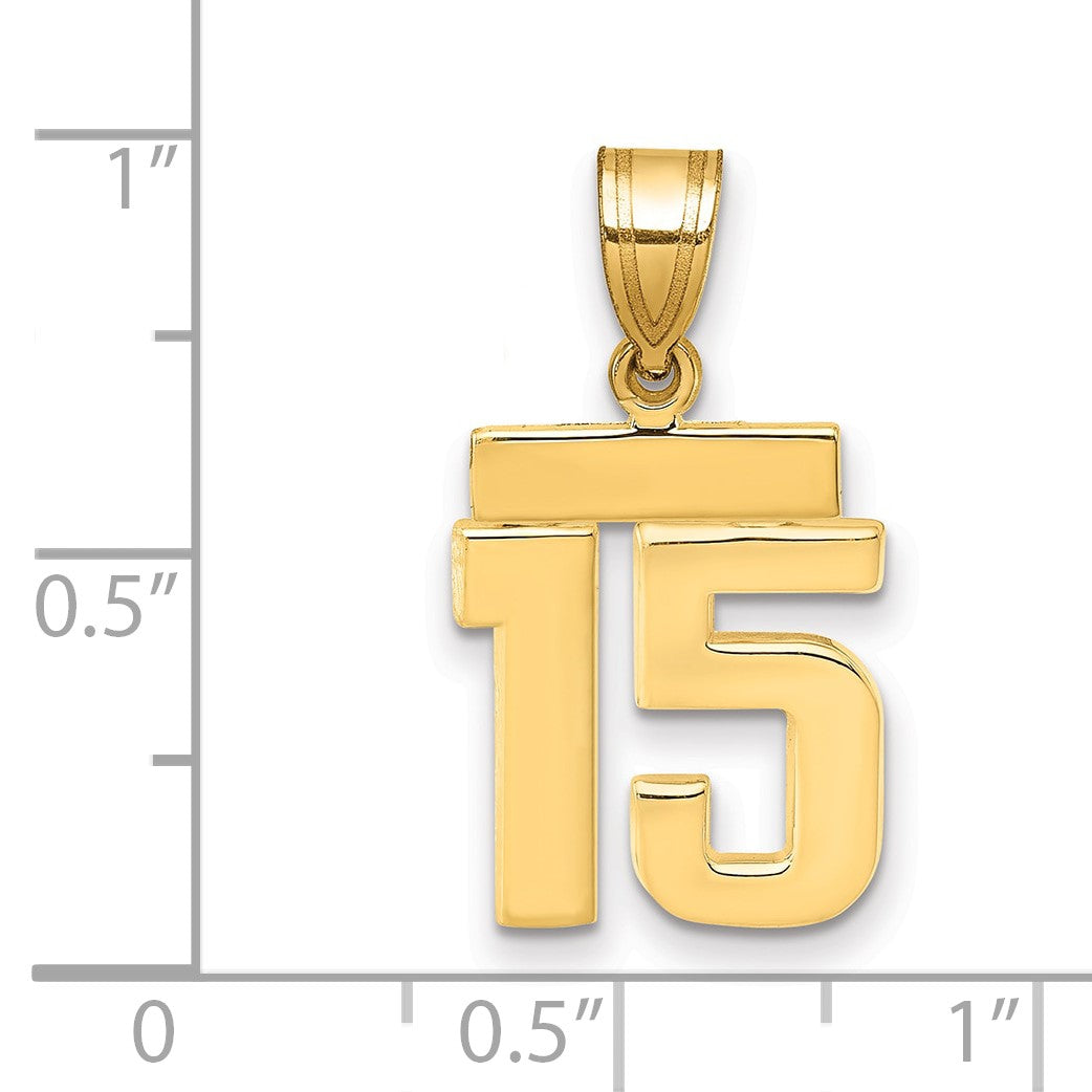 14K Gelbgold kleiner polierter Zahl-15-Charm