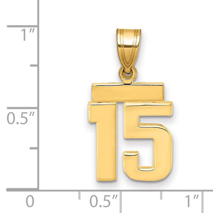 14K Gelbgold kleiner polierter Zahl-15-Charm