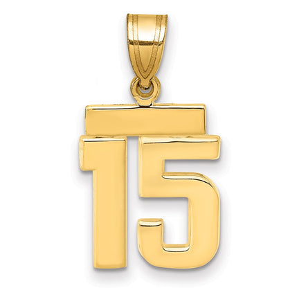 14K Gelbgold kleiner polierter Zahl-15-Charm