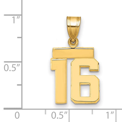 14K Gelbgold Kleiner Polierter Zahl-16-Charm