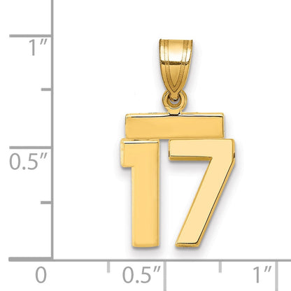 14K Gelbgold Kleiner Polierter Zahl-17-Charm