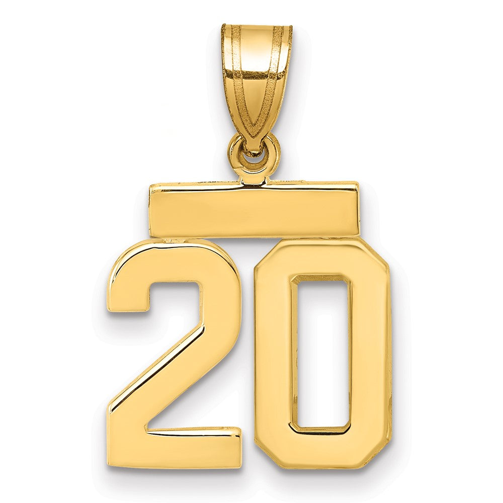14K Gelbgold Poliert Kleiner Zahlen-Charm "20