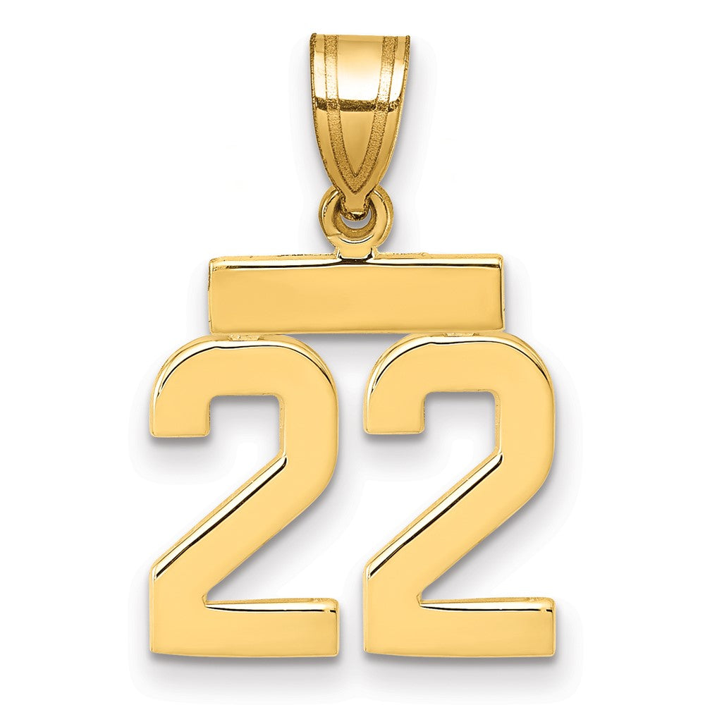 14K Gelbgold Kleiner Polierter Zahl-22-Charm