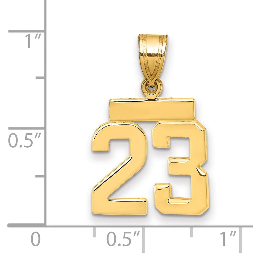 14K Gelbgold Kleiner Polierter Zahl-23-Charm