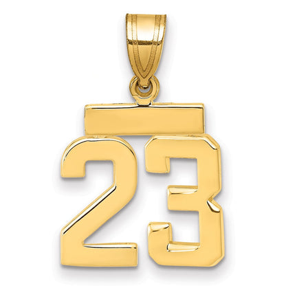 14K Gelbgold Kleiner Polierter Zahl-23-Charm