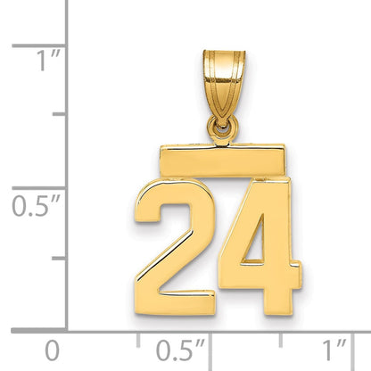 14K Gelbgold Kleiner Polierter Zahl-24-Charm
