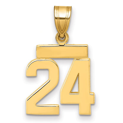 14K Gelbgold Kleiner Polierter Zahl-24-Charm