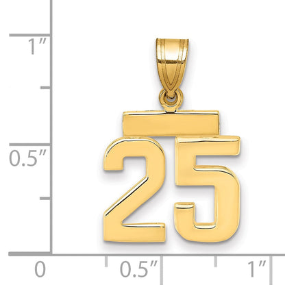14K Gelbgold Kleiner Polierter Charm „Zahl 25“