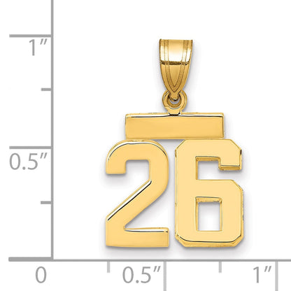 14K Gelbgold Kleiner Polierter Zahl-26-Charm