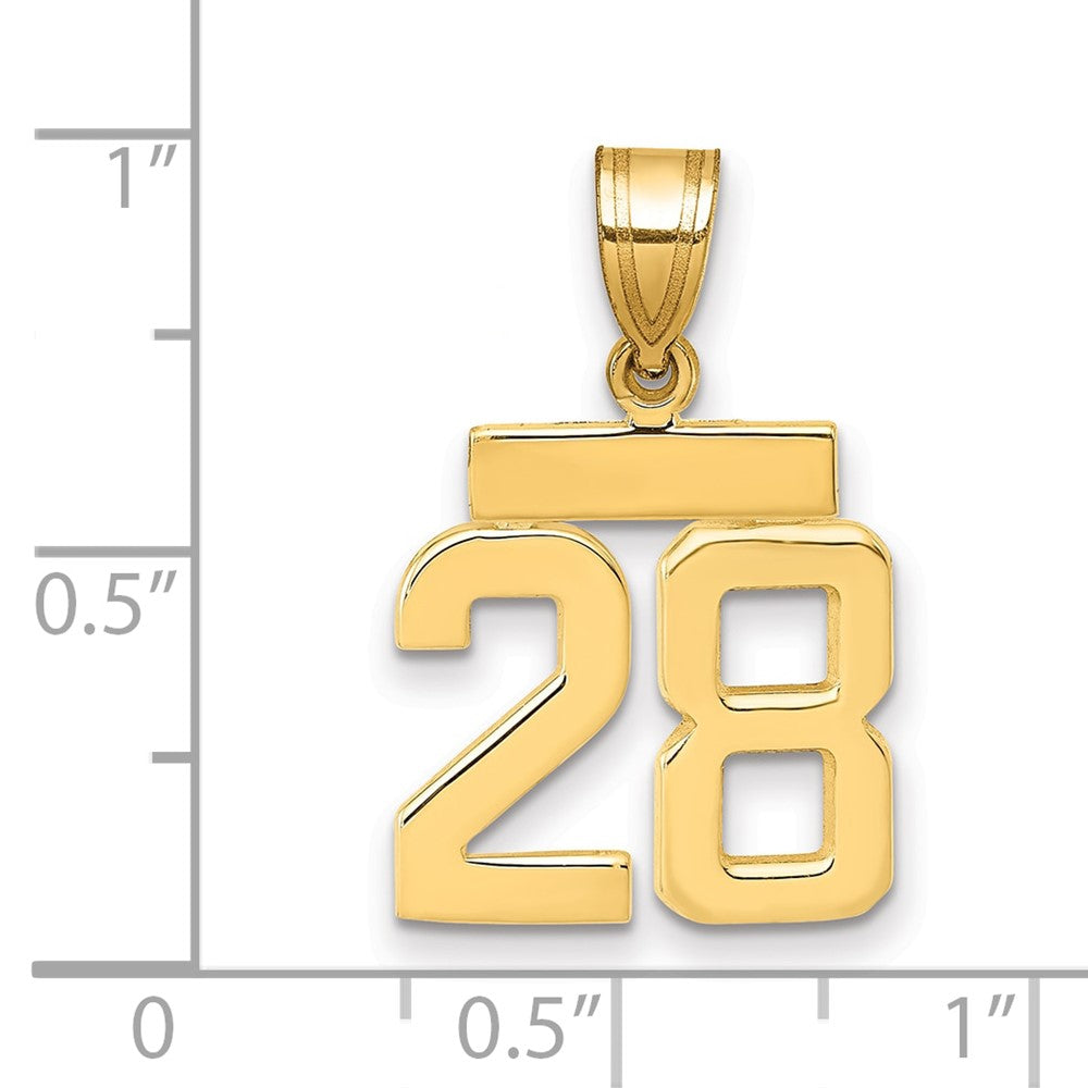 14K Gelbgold Kleiner Polierter Charm Zahl 28