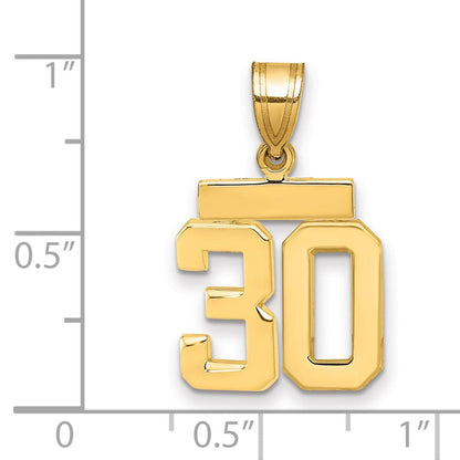 14K Gelbgold Kleiner Polierter Zahl-30-Charm