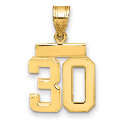 10K Gelbgold Klein Poliert Zahl 30 Charm