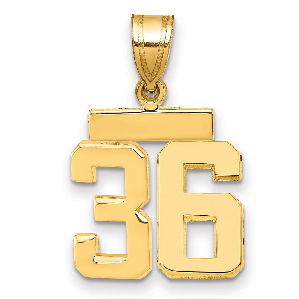 14K Gelbgold Kleiner Polierter Zahl-36-Charm