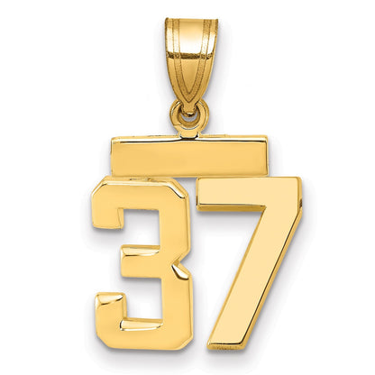 14K Gelbgold Kleiner Polierter Charm Zahl 37