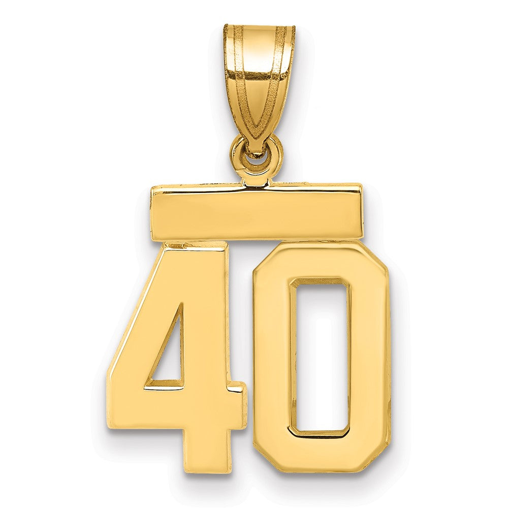 14K Gelbgold Kleiner Polierter Charm „Zahl 40