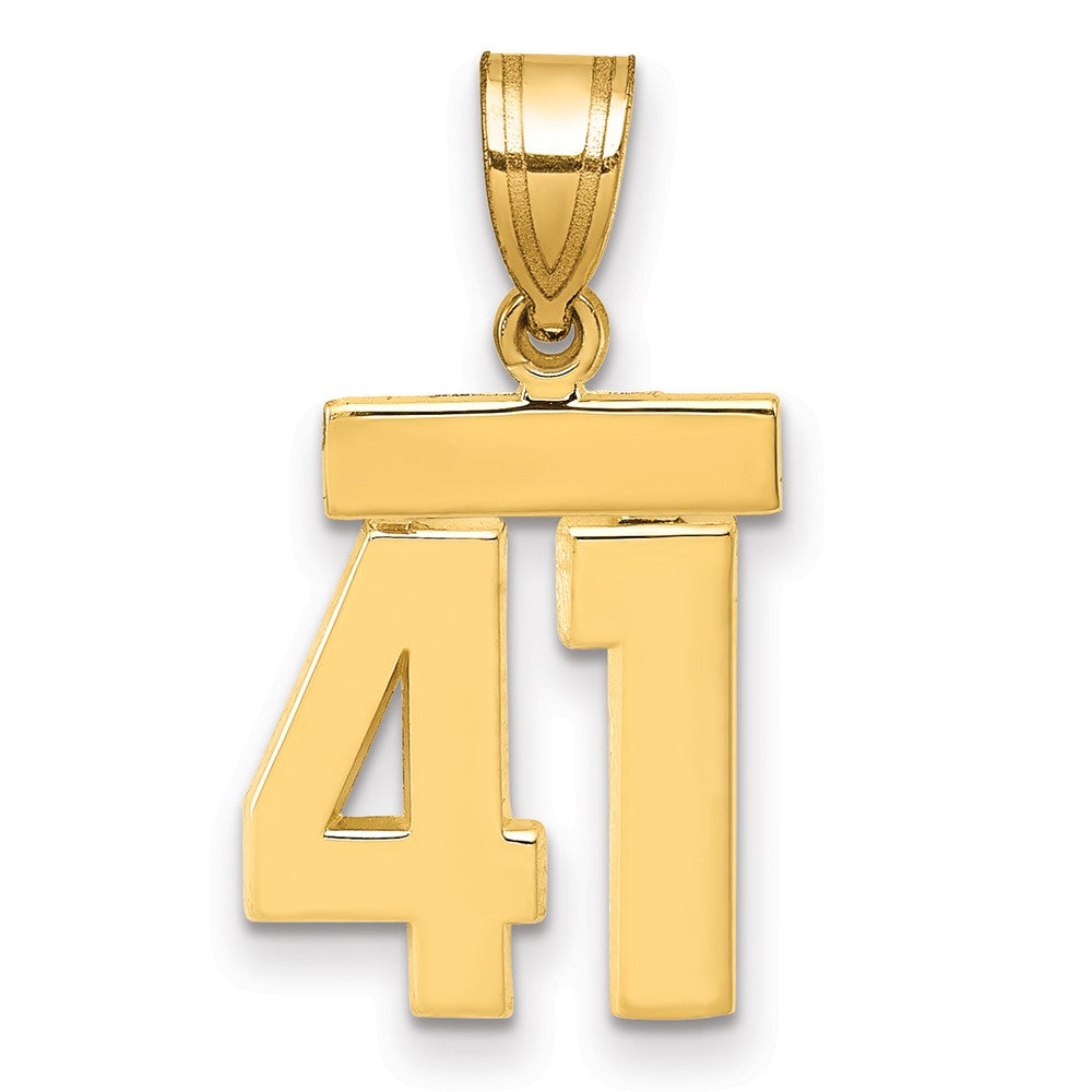 14K Gelbgold Kleiner Polierter Charm „Zahl 41“