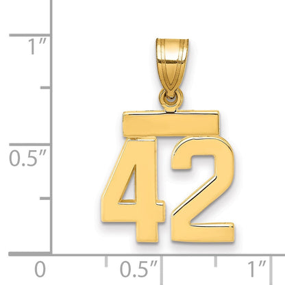 14K Gelbgold Kleiner Polierter Zahl-42-Charm
