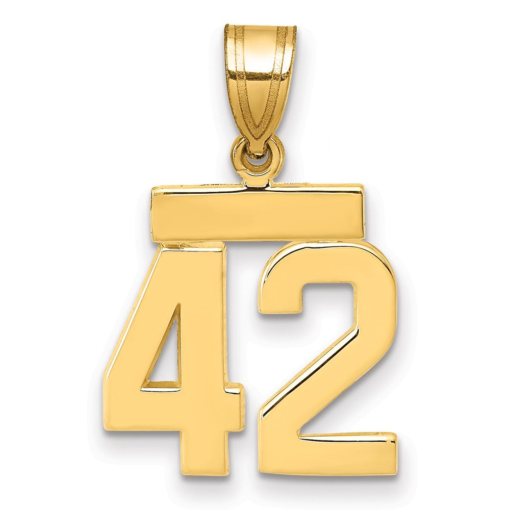 14K Gelbgold Kleiner Polierter Zahl-42-Charm