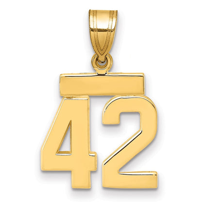 14K Gelbgold Kleiner Polierter Zahl-42-Charm