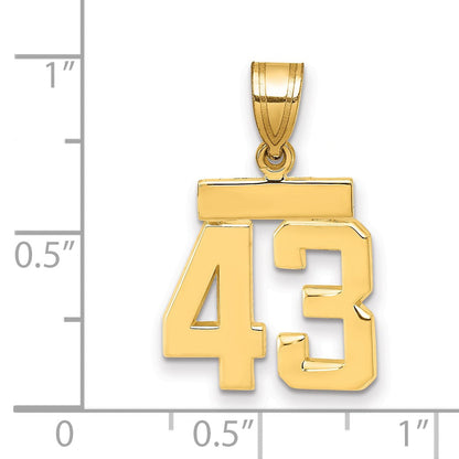 14K Gelbgold Kleiner Polierter Charm „Zahl 43
