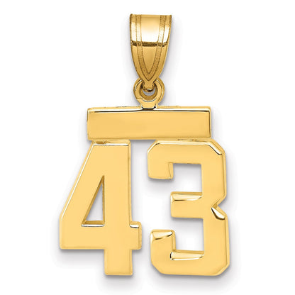 14K Gelbgold Kleiner Polierter Charm „Zahl 43