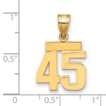 14K Gelbgold kleiner polierter Zahl-45-Charm