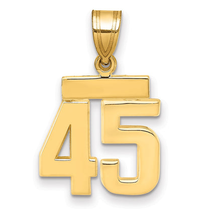 14K Gelbgold kleiner polierter Zahl-45-Charm