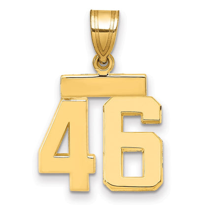 14K Gelbgold kleiner polierter Zahlen-Charm „46“